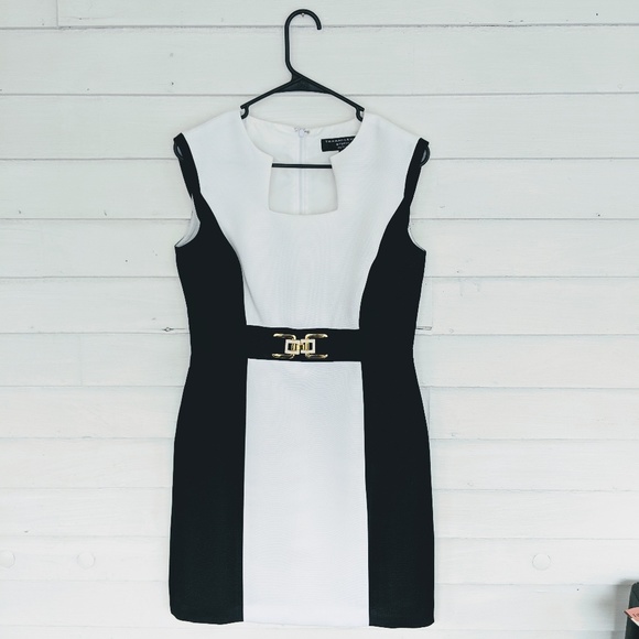 Tahari Dresses & Skirts - Tahari-Levine Studio Career Style A-Line Dress